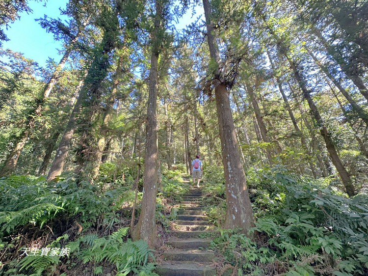 仙山,仙山 仙水,仙山 協靈宮,仙山 苗栗,仙山 靈洞宮,仙山協靈宮,仙山協靈宮交通,仙山古道,仙山古道 南段,仙山導航,仙山步道,仙山登山步道時間,仙山美食,仙山路況,仙山階梯,仙山雲海,仙山靈洞宮,仙山靈洞宮主神,仙山靈洞宮交通,仙山靈洞宮住宿,仙山靈洞宮問事,仙山靈洞宮海拔,仙山風景區,協靈宮九天玄女,協靈宮九天玄女聖誕,協靈宮仙水亭,南庄仙山,南庄仙山古道地圖,灵洞宫,獅潭 仙山,獅潭 爬山,獅潭仙山,獅潭仙山靈洞宮,獅潭鄉仙山,獅潭靈洞宮,苗栗 仙山,苗栗 仙山 住宿,苗栗九天玄女廟,苗栗仙山,苗栗仙山九天玄女廟怎麼去,苗栗仙山交通,苗栗仙山協靈宮地址,苗栗仙山景點,苗栗仙山靈洞宮,苗栗獅潭仙山,苗栗縣仙山,苗栗靈洞宮,草坪頭附近景點,靈洞宮主神,靈洞宮海拔