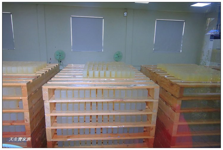 雲林斗六雅聞峇里海岸觀光工廠玫瑰花季
