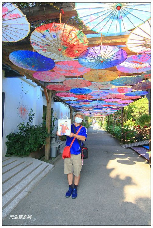 雲林斗六雅聞峇里海岸觀光工廠玫瑰花季