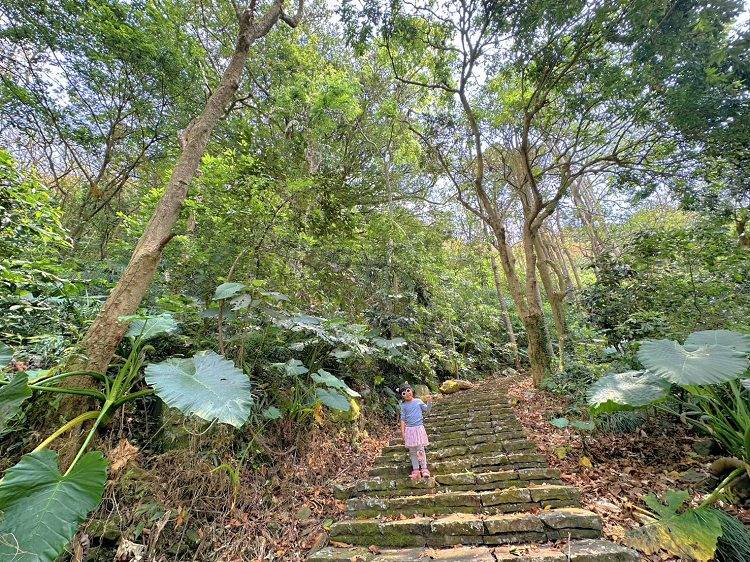 台南南化烏山步道
