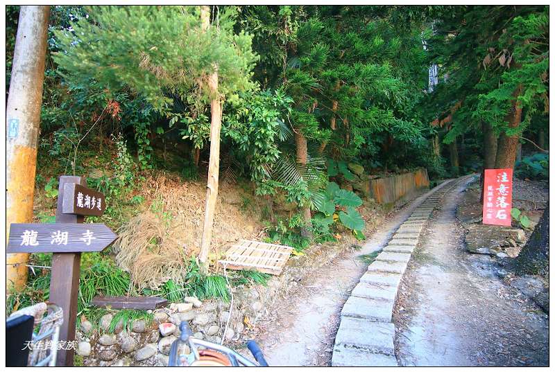 台南南化烏山步道