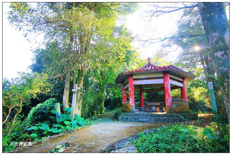 台南南化烏山步道