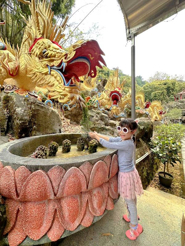 台南南化五峯山龍湖寺紅面觀音