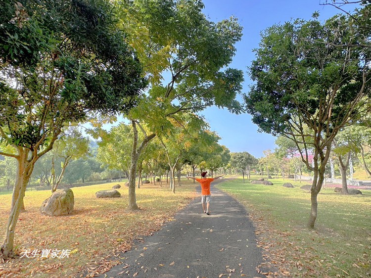 延伸閱讀：嘉義番路》牛埔仔大草原阿里山18號愛情絲路最新場景