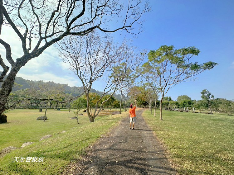 牛埔仔愛情大草原、旺萊山愛情大草原、嘉義阿里山、觸口牛埔仔草原 牛埔仔愛情大草原、旺萊山愛情大草原、嘉義阿里山、觸口牛埔仔草原
