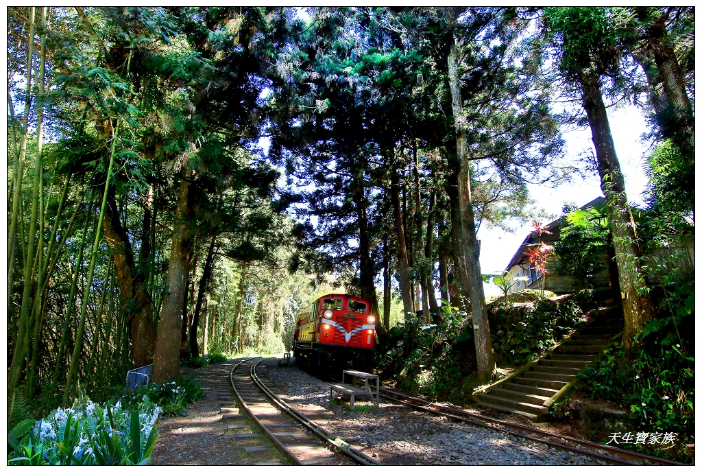 阿里山森林鐵道、阿里山林業鐵路、阿里山小火車