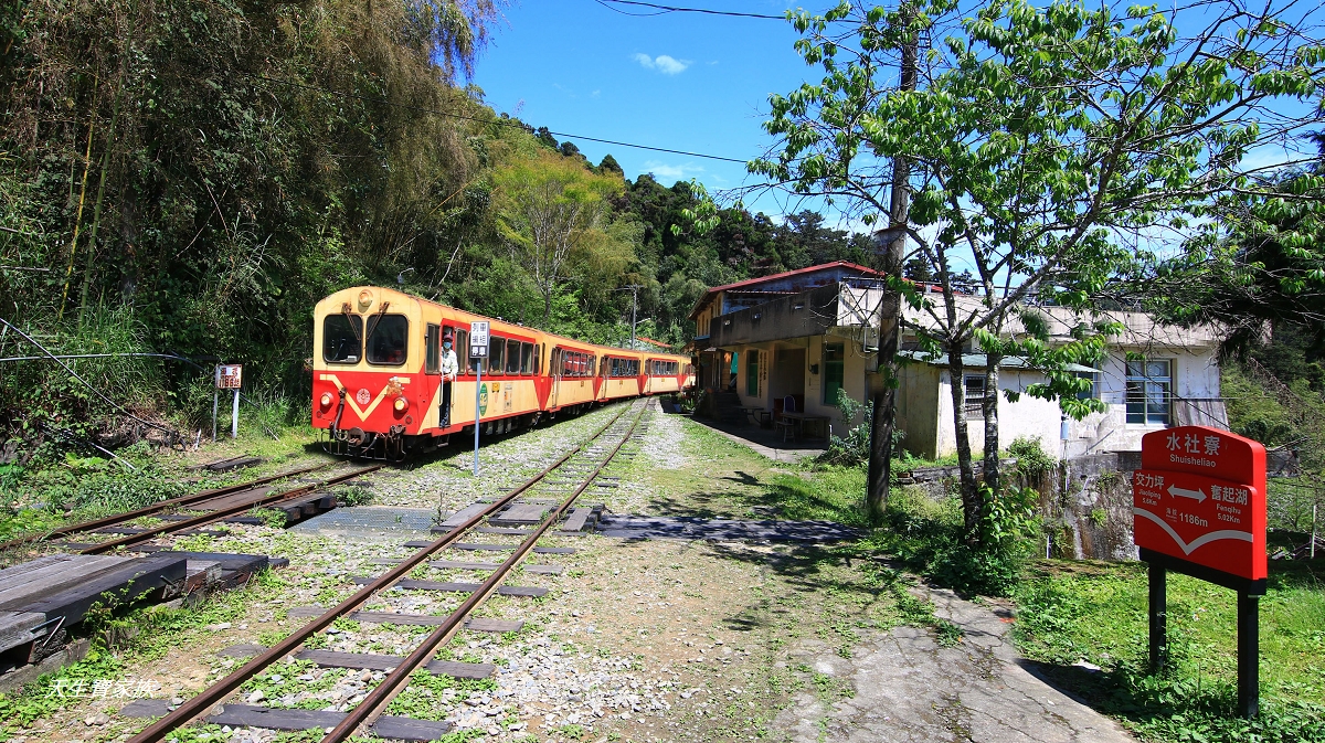 嘉義景點、新港景點、新港大客荷塘、大客荷塘、嘉義大客荷塘 嘉義景點、新港景點、新港大客荷塘、大客荷塘、嘉義大客荷塘