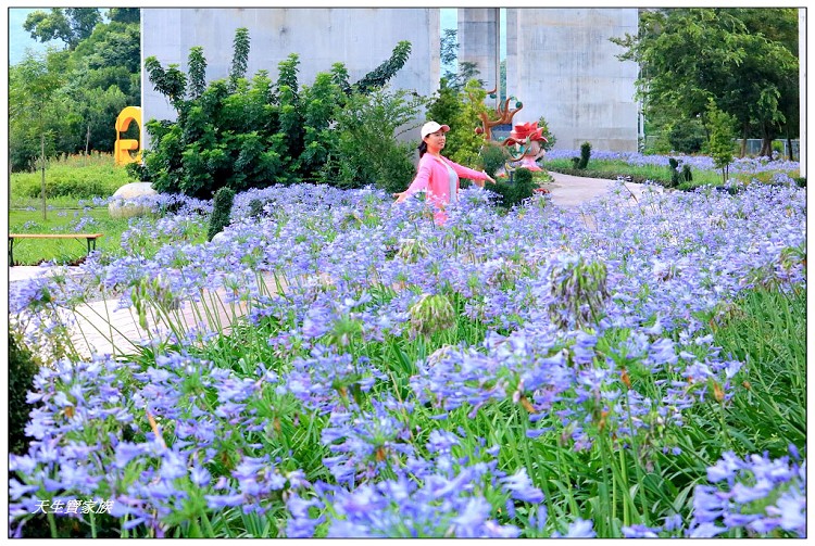 橋聳雲天綠雕園區、橋聳雲天綠雕公園、橋聳雲天兒童遊戲場、國姓橋聳雲天、國姓綠雕園區