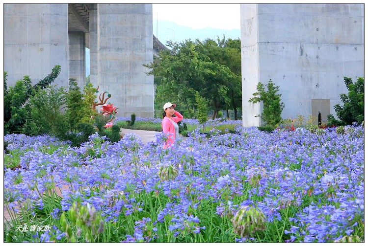橋聳雲天綠雕園區、橋聳雲天綠雕公園、橋聳雲天兒童遊戲場、國姓橋聳雲天、國姓綠雕園區