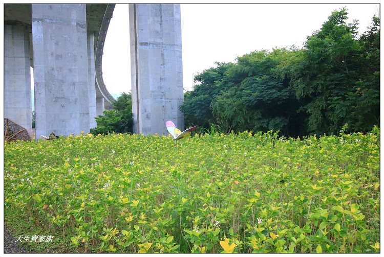 橋聳雲天綠雕園區、橋聳雲天綠雕公園、橋聳雲天兒童遊戲場、國姓橋聳雲天、國姓綠雕園區