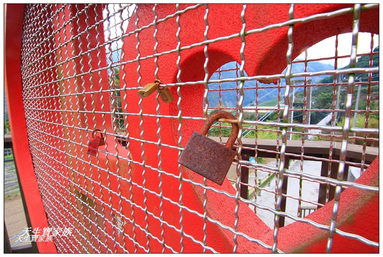 千歲吊橋、望鄉千歲吊橋、久美千歲吊橋、信義千歲吊橋、獵人古道