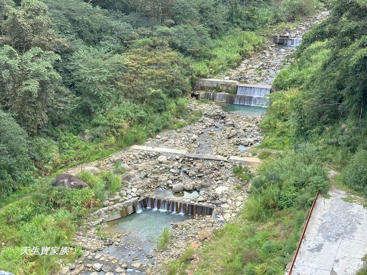 千歲吊橋、望鄉千歲吊橋、久美千歲吊橋、信義千歲吊橋、獵人古道