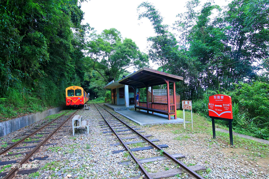 阿里山森林鐵道、阿里山林業鐵路、阿里山小火車