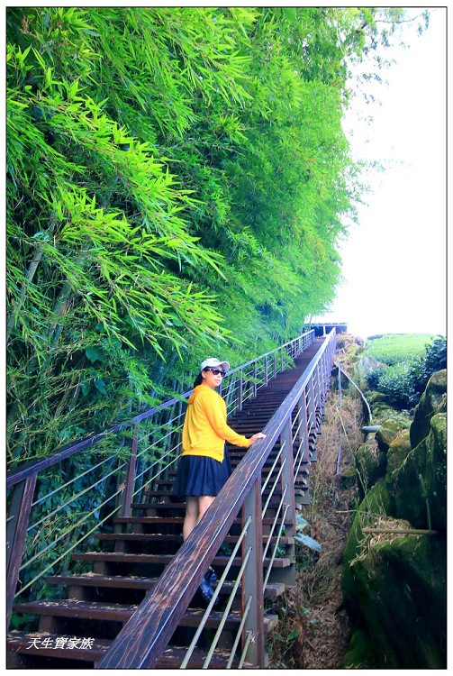 大風埕觀日峰、大風嶺茶園、大風嶺茶區、大風嶺連觀景涼亭、觀日峰步道、瑞峰太和休閒農業區、太和油車寮步道、大風嶺觀景涼亭、