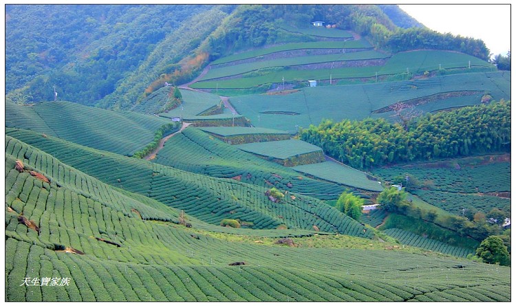 大風埕觀日峰、大風嶺茶園、大風嶺茶區、大風嶺連觀景涼亭、觀日峰步道、瑞峰太和休閒農業區、太和油車寮步道、大風嶺觀景涼亭、