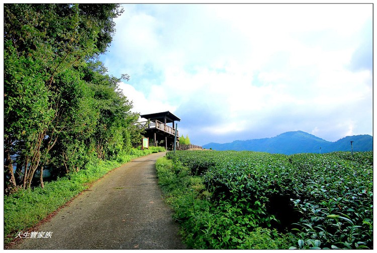大風埕觀日峰、大風嶺茶園、大風嶺茶區、大風嶺連觀景涼亭、觀日峰步道、瑞峰太和休閒農業區、太和油車寮步道、大風嶺觀景涼亭、