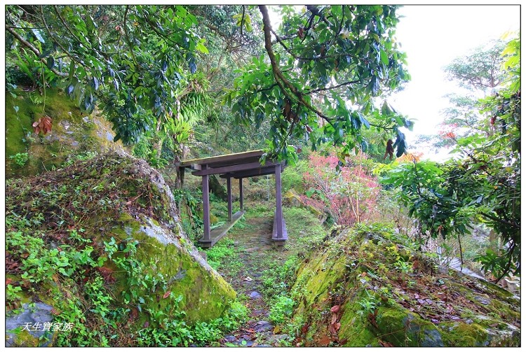 仙公廟孚佑宮、仙公廟午餐、仙公廟夜景、仙公廟住宿費用、台南東山仙公廟孚佑宮、小百岳崁頭山步道、崁頭山步道