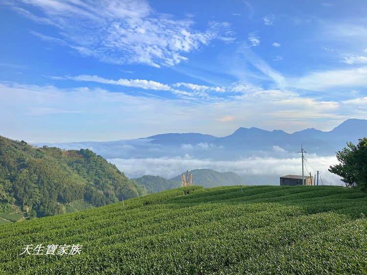 大風埕觀日峰、大風嶺茶園、大風嶺茶區、大風嶺連觀景涼亭、觀日峰步道、瑞峰太和休閒農業區、太和油車寮步道、大風嶺觀景涼亭、