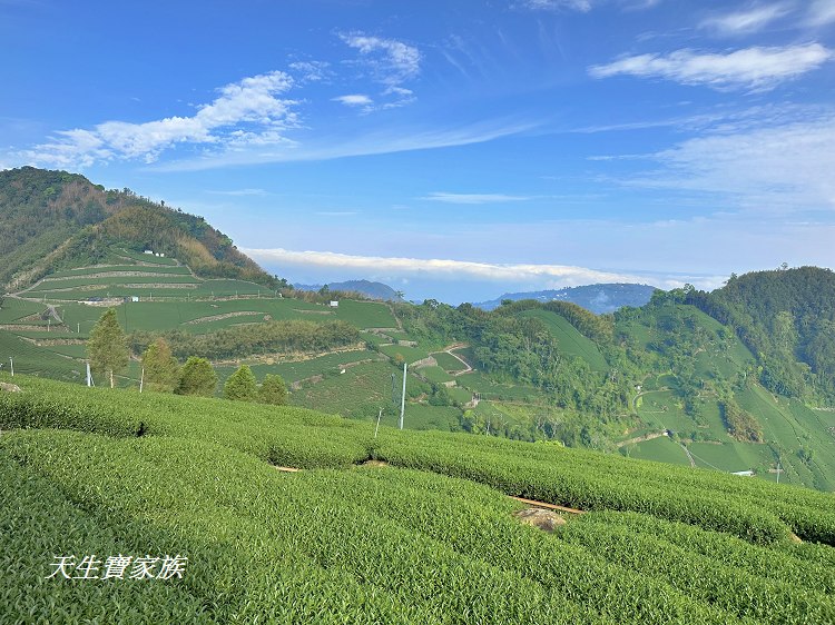 大風埕觀日峰、大風嶺茶園、大風嶺茶區、大風嶺連觀景涼亭、觀日峰步道、瑞峰太和休閒農業區、太和油車寮步道、大風嶺觀景涼亭、