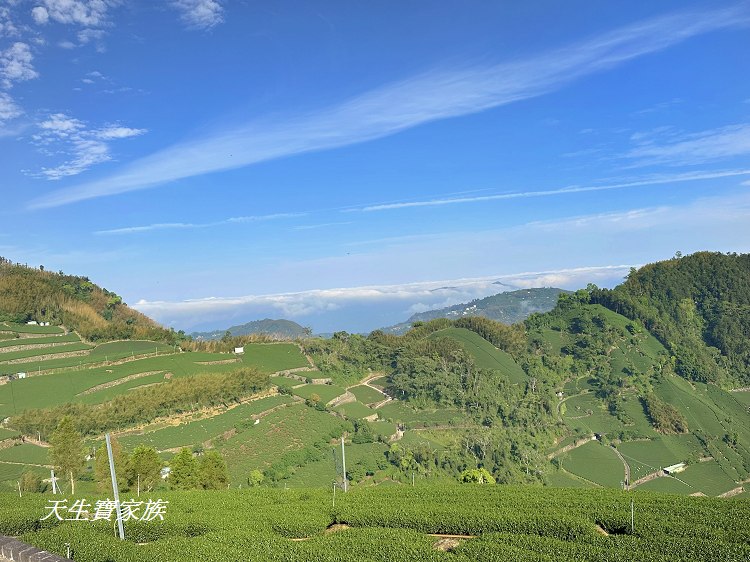 大風埕觀日峰、大風嶺茶園、大風嶺茶區、大風嶺連觀景涼亭、觀日峰步道、瑞峰太和休閒農業區、太和油車寮步道、大風嶺觀景涼亭、