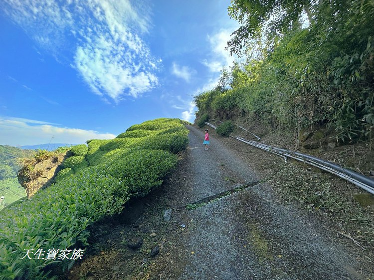 大風埕觀日峰、大風嶺茶園、大風嶺茶區、大風嶺連觀景涼亭、觀日峰步道、瑞峰太和休閒農業區、太和油車寮步道、大風嶺觀景涼亭、