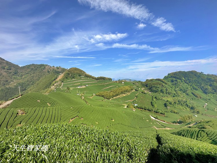 大風埕觀日峰、大風嶺茶園、大風嶺茶區、大風嶺連觀景涼亭、觀日峰步道、瑞峰太和休閒農業區、太和油車寮步道、大風嶺觀景涼亭、