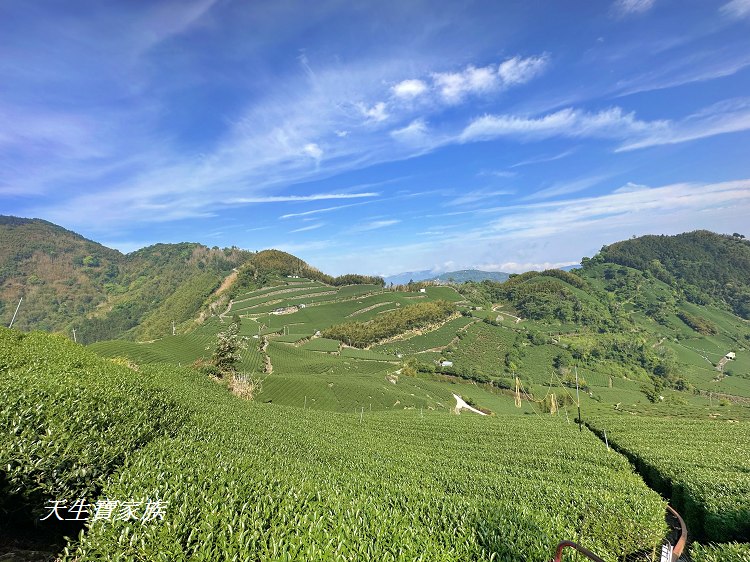 大風埕觀日峰、大風嶺茶園、大風嶺茶區、大風嶺連觀景涼亭、觀日峰步道、瑞峰太和休閒農業區、太和油車寮步道、大風嶺觀景涼亭、