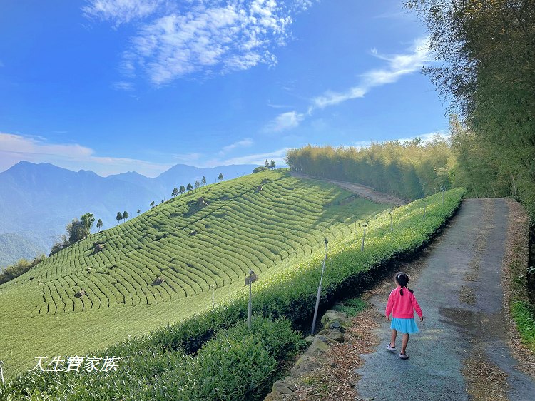 大風埕觀日峰、大風嶺茶園、大風嶺茶區、大風嶺連觀景涼亭、觀日峰步道、瑞峰太和休閒農業區、太和油車寮步道、大風嶺觀景涼亭、
