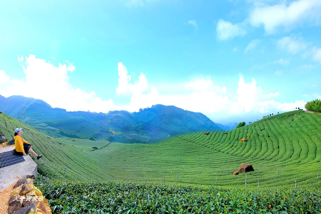 延伸閱讀：嘉義梅山「大風埕觀日峰」太和秘境！抹茶山抹茶磚抹茶地毯360度絕美景觀