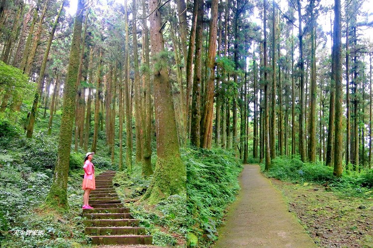 嘉義 大凍山,嘉義大凍山一日遊,嘉義大凍山停車場,嘉義大凍山天氣,嘉義大凍山步道,嘉義大凍山登山口,嘉義阿里山景點,多林停車場,多林檢查站,大冻山步道,大凍山 嘉義,大凍山三角點,大凍山停車場,大凍山健行筆記,大凍山台南,大凍山嘉義,大凍山地址,大凍山廁所,大凍山步道停車場,大凍山步道圖,大凍山步道地圖,大凍山步道路線圖,大凍山登山口,大凍山觀景平台,大凍山附近景點,大凍山頂湖步道,大棟山 嘉義,奮起湖大凍山步道,奮起湖大棟山登山步道,阿里山 大凍山,阿里山大凍山,阿里山景點,阿里山鄉樂野村頂湖,頂湖 大凍山休閒渡假中心,頂湖停車場,頂湖停車場大凍山,頂湖大凍山,頂湖大凍山步道,頂湖大凍山步道圖,頂湖步道,頂湖步道路線圖,頂湖茶園