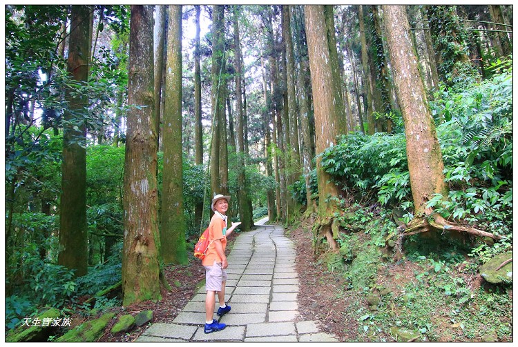 嘉義 大凍山,嘉義大凍山一日遊,嘉義大凍山停車場,嘉義大凍山天氣,嘉義大凍山步道,嘉義大凍山登山口,嘉義阿里山景點,多林停車場,多林檢查站,大冻山步道,大凍山 嘉義,大凍山三角點,大凍山停車場,大凍山健行筆記,大凍山台南,大凍山嘉義,大凍山地址,大凍山廁所,大凍山步道停車場,大凍山步道圖,大凍山步道地圖,大凍山步道路線圖,大凍山登山口,大凍山觀景平台,大凍山附近景點,大凍山頂湖步道,大棟山 嘉義,奮起湖大凍山步道,奮起湖大棟山登山步道,阿里山 大凍山,阿里山大凍山,阿里山景點,阿里山鄉樂野村頂湖,頂湖 大凍山休閒渡假中心,頂湖停車場,頂湖停車場大凍山,頂湖大凍山,頂湖大凍山步道,頂湖大凍山步道圖,頂湖步道,頂湖步道路線圖,頂湖茶園