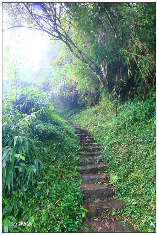 嘉義 大凍山,嘉義大凍山一日遊,嘉義大凍山停車場,嘉義大凍山天氣,嘉義大凍山步道,嘉義大凍山登山口,嘉義阿里山景點,多林停車場,多林檢查站,大冻山步道,大凍山 嘉義,大凍山三角點,大凍山停車場,大凍山健行筆記,大凍山台南,大凍山嘉義,大凍山地址,大凍山廁所,大凍山步道停車場,大凍山步道圖,大凍山步道地圖,大凍山步道路線圖,大凍山登山口,大凍山觀景平台,大凍山附近景點,大凍山頂湖步道,大棟山 嘉義,奮起湖大凍山步道,奮起湖大棟山登山步道,阿里山 大凍山,阿里山大凍山,阿里山景點,阿里山鄉樂野村頂湖,頂湖 大凍山休閒渡假中心,頂湖停車場,頂湖停車場大凍山,頂湖大凍山,頂湖大凍山步道,頂湖大凍山步道圖,頂湖步道,頂湖步道路線圖,頂湖茶園
