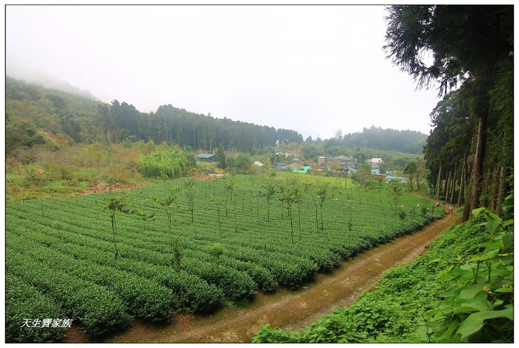 嘉義 大凍山,嘉義大凍山一日遊,嘉義大凍山停車場,嘉義大凍山天氣,嘉義大凍山步道,嘉義大凍山登山口,嘉義阿里山景點,多林停車場,多林檢查站,大冻山步道,大凍山 嘉義,大凍山三角點,大凍山停車場,大凍山健行筆記,大凍山台南,大凍山嘉義,大凍山地址,大凍山廁所,大凍山步道停車場,大凍山步道圖,大凍山步道地圖,大凍山步道路線圖,大凍山登山口,大凍山觀景平台,大凍山附近景點,大凍山頂湖步道,大棟山 嘉義,奮起湖大凍山步道,奮起湖大棟山登山步道,阿里山 大凍山,阿里山大凍山,阿里山景點,阿里山鄉樂野村頂湖,頂湖 大凍山休閒渡假中心,頂湖停車場,頂湖停車場大凍山,頂湖大凍山,頂湖大凍山步道,頂湖大凍山步道圖,頂湖步道,頂湖步道路線圖,頂湖茶園