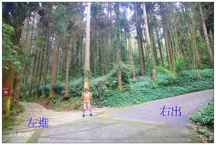 嘉義 大凍山,嘉義大凍山一日遊,嘉義大凍山停車場,嘉義大凍山天氣,嘉義大凍山步道,嘉義大凍山登山口,嘉義阿里山景點,多林停車場,多林檢查站,大冻山步道,大凍山 嘉義,大凍山三角點,大凍山停車場,大凍山健行筆記,大凍山台南,大凍山嘉義,大凍山地址,大凍山廁所,大凍山步道停車場,大凍山步道圖,大凍山步道地圖,大凍山步道路線圖,大凍山登山口,大凍山觀景平台,大凍山附近景點,大凍山頂湖步道,大棟山 嘉義,奮起湖大凍山步道,奮起湖大棟山登山步道,阿里山 大凍山,阿里山大凍山,阿里山景點,阿里山鄉樂野村頂湖,頂湖 大凍山休閒渡假中心,頂湖停車場,頂湖停車場大凍山,頂湖大凍山,頂湖大凍山步道,頂湖大凍山步道圖,頂湖步道,頂湖步道路線圖,頂湖茶園