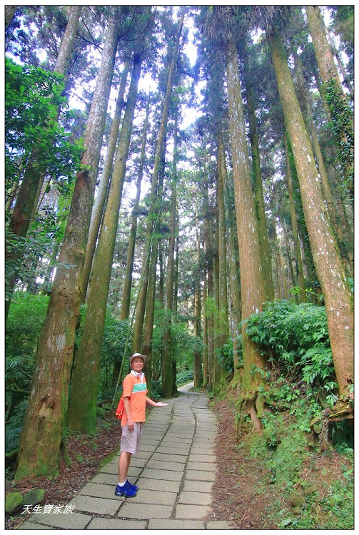 嘉義 大凍山,嘉義大凍山一日遊,嘉義大凍山停車場,嘉義大凍山天氣,嘉義大凍山步道,嘉義大凍山登山口,嘉義阿里山景點,多林停車場,多林檢查站,大冻山步道,大凍山 嘉義,大凍山三角點,大凍山停車場,大凍山健行筆記,大凍山台南,大凍山嘉義,大凍山地址,大凍山廁所,大凍山步道停車場,大凍山步道圖,大凍山步道地圖,大凍山步道路線圖,大凍山登山口,大凍山觀景平台,大凍山附近景點,大凍山頂湖步道,大棟山 嘉義,奮起湖大凍山步道,奮起湖大棟山登山步道,阿里山 大凍山,阿里山大凍山,阿里山景點,阿里山鄉樂野村頂湖,頂湖 大凍山休閒渡假中心,頂湖停車場,頂湖停車場大凍山,頂湖大凍山,頂湖大凍山步道,頂湖大凍山步道圖,頂湖步道,頂湖步道路線圖,頂湖茶園