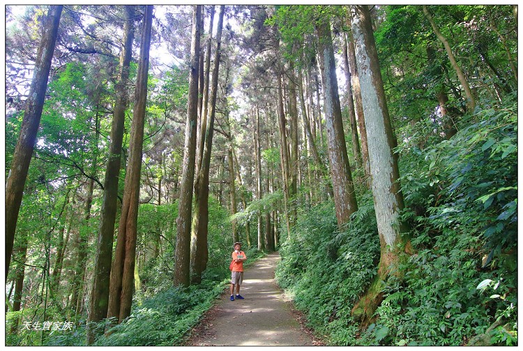 嘉義 大凍山,嘉義大凍山一日遊,嘉義大凍山停車場,嘉義大凍山天氣,嘉義大凍山步道,嘉義大凍山登山口,嘉義阿里山景點,多林停車場,多林檢查站,大冻山步道,大凍山 嘉義,大凍山三角點,大凍山停車場,大凍山健行筆記,大凍山台南,大凍山嘉義,大凍山地址,大凍山廁所,大凍山步道停車場,大凍山步道圖,大凍山步道地圖,大凍山步道路線圖,大凍山登山口,大凍山觀景平台,大凍山附近景點,大凍山頂湖步道,大棟山 嘉義,奮起湖大凍山步道,奮起湖大棟山登山步道,阿里山 大凍山,阿里山大凍山,阿里山景點,阿里山鄉樂野村頂湖,頂湖 大凍山休閒渡假中心,頂湖停車場,頂湖停車場大凍山,頂湖大凍山,頂湖大凍山步道,頂湖大凍山步道圖,頂湖步道,頂湖步道路線圖,頂湖茶園