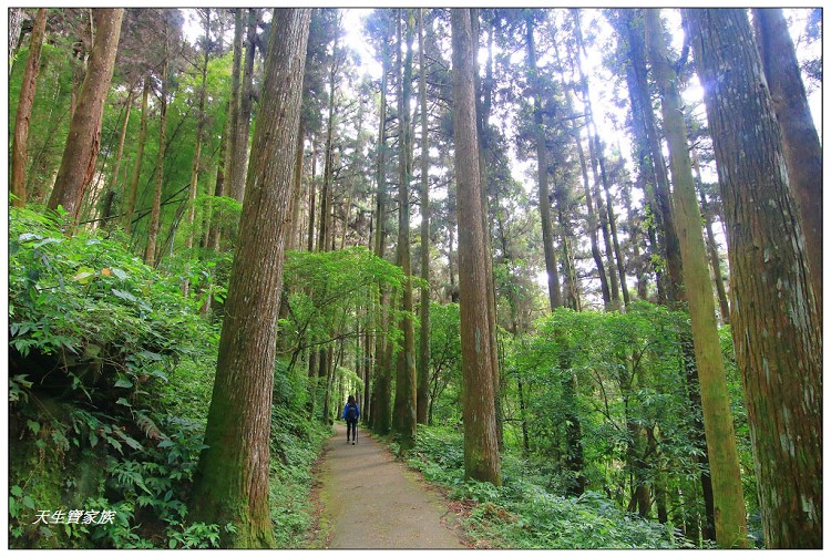 嘉義 大凍山,嘉義大凍山一日遊,嘉義大凍山停車場,嘉義大凍山天氣,嘉義大凍山步道,嘉義大凍山登山口,嘉義阿里山景點,多林停車場,多林檢查站,大冻山步道,大凍山 嘉義,大凍山三角點,大凍山停車場,大凍山健行筆記,大凍山台南,大凍山嘉義,大凍山地址,大凍山廁所,大凍山步道停車場,大凍山步道圖,大凍山步道地圖,大凍山步道路線圖,大凍山登山口,大凍山觀景平台,大凍山附近景點,大凍山頂湖步道,大棟山 嘉義,奮起湖大凍山步道,奮起湖大棟山登山步道,阿里山 大凍山,阿里山大凍山,阿里山景點,阿里山鄉樂野村頂湖,頂湖 大凍山休閒渡假中心,頂湖停車場,頂湖停車場大凍山,頂湖大凍山,頂湖大凍山步道,頂湖大凍山步道圖,頂湖步道,頂湖步道路線圖,頂湖茶園