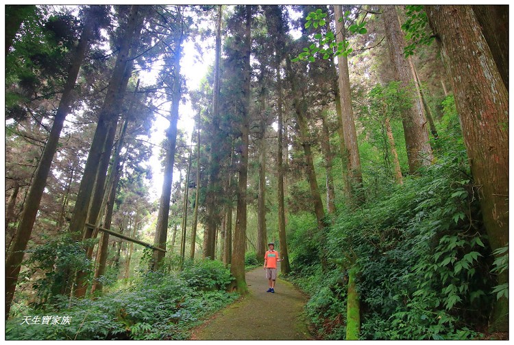 嘉義 大凍山,嘉義大凍山一日遊,嘉義大凍山停車場,嘉義大凍山天氣,嘉義大凍山步道,嘉義大凍山登山口,嘉義阿里山景點,多林停車場,多林檢查站,大冻山步道,大凍山 嘉義,大凍山三角點,大凍山停車場,大凍山健行筆記,大凍山台南,大凍山嘉義,大凍山地址,大凍山廁所,大凍山步道停車場,大凍山步道圖,大凍山步道地圖,大凍山步道路線圖,大凍山登山口,大凍山觀景平台,大凍山附近景點,大凍山頂湖步道,大棟山 嘉義,奮起湖大凍山步道,奮起湖大棟山登山步道,阿里山 大凍山,阿里山大凍山,阿里山景點,阿里山鄉樂野村頂湖,頂湖 大凍山休閒渡假中心,頂湖停車場,頂湖停車場大凍山,頂湖大凍山,頂湖大凍山步道,頂湖大凍山步道圖,頂湖步道,頂湖步道路線圖,頂湖茶園