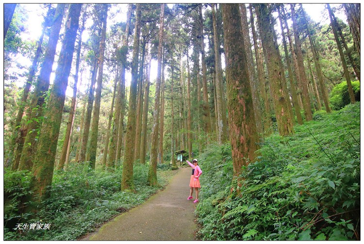 嘉義 大凍山,嘉義大凍山一日遊,嘉義大凍山停車場,嘉義大凍山天氣,嘉義大凍山步道,嘉義大凍山登山口,嘉義阿里山景點,多林停車場,多林檢查站,大冻山步道,大凍山 嘉義,大凍山三角點,大凍山停車場,大凍山健行筆記,大凍山台南,大凍山嘉義,大凍山地址,大凍山廁所,大凍山步道停車場,大凍山步道圖,大凍山步道地圖,大凍山步道路線圖,大凍山登山口,大凍山觀景平台,大凍山附近景點,大凍山頂湖步道,大棟山 嘉義,奮起湖大凍山步道,奮起湖大棟山登山步道,阿里山 大凍山,阿里山大凍山,阿里山景點,阿里山鄉樂野村頂湖,頂湖 大凍山休閒渡假中心,頂湖停車場,頂湖停車場大凍山,頂湖大凍山,頂湖大凍山步道,頂湖大凍山步道圖,頂湖步道,頂湖步道路線圖,頂湖茶園