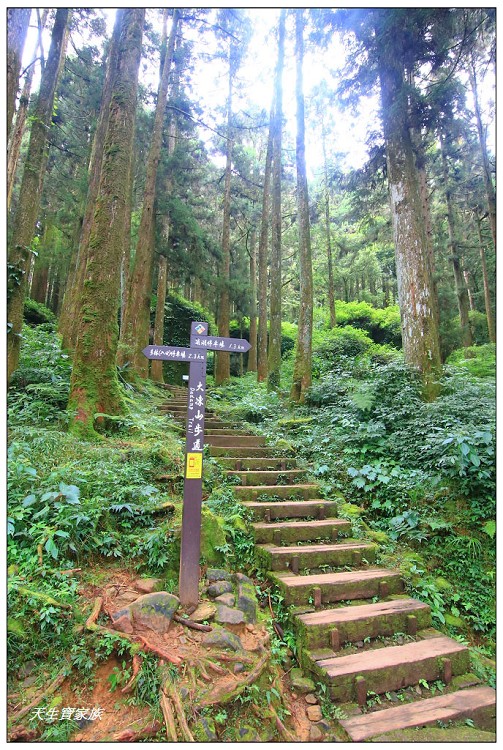 嘉義 大凍山,嘉義大凍山一日遊,嘉義大凍山停車場,嘉義大凍山天氣,嘉義大凍山步道,嘉義大凍山登山口,嘉義阿里山景點,多林停車場,多林檢查站,大冻山步道,大凍山 嘉義,大凍山三角點,大凍山停車場,大凍山健行筆記,大凍山台南,大凍山嘉義,大凍山地址,大凍山廁所,大凍山步道停車場,大凍山步道圖,大凍山步道地圖,大凍山步道路線圖,大凍山登山口,大凍山觀景平台,大凍山附近景點,大凍山頂湖步道,大棟山 嘉義,奮起湖大凍山步道,奮起湖大棟山登山步道,阿里山 大凍山,阿里山大凍山,阿里山景點,阿里山鄉樂野村頂湖,頂湖 大凍山休閒渡假中心,頂湖停車場,頂湖停車場大凍山,頂湖大凍山,頂湖大凍山步道,頂湖大凍山步道圖,頂湖步道,頂湖步道路線圖,頂湖茶園