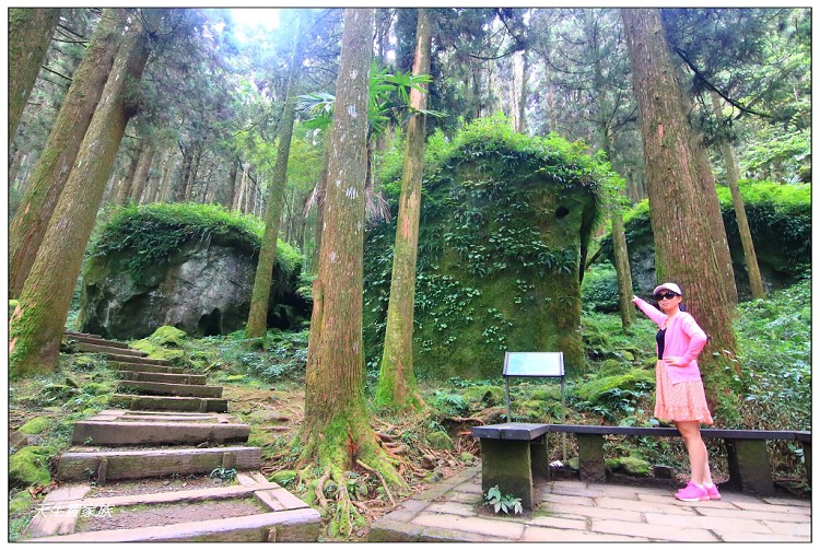 嘉義 大凍山,嘉義大凍山一日遊,嘉義大凍山停車場,嘉義大凍山天氣,嘉義大凍山步道,嘉義大凍山登山口,嘉義阿里山景點,多林停車場,多林檢查站,大冻山步道,大凍山 嘉義,大凍山三角點,大凍山停車場,大凍山健行筆記,大凍山台南,大凍山嘉義,大凍山地址,大凍山廁所,大凍山步道停車場,大凍山步道圖,大凍山步道地圖,大凍山步道路線圖,大凍山登山口,大凍山觀景平台,大凍山附近景點,大凍山頂湖步道,大棟山 嘉義,奮起湖大凍山步道,奮起湖大棟山登山步道,阿里山 大凍山,阿里山大凍山,阿里山景點,阿里山鄉樂野村頂湖,頂湖 大凍山休閒渡假中心,頂湖停車場,頂湖停車場大凍山,頂湖大凍山,頂湖大凍山步道,頂湖大凍山步道圖,頂湖步道,頂湖步道路線圖,頂湖茶園