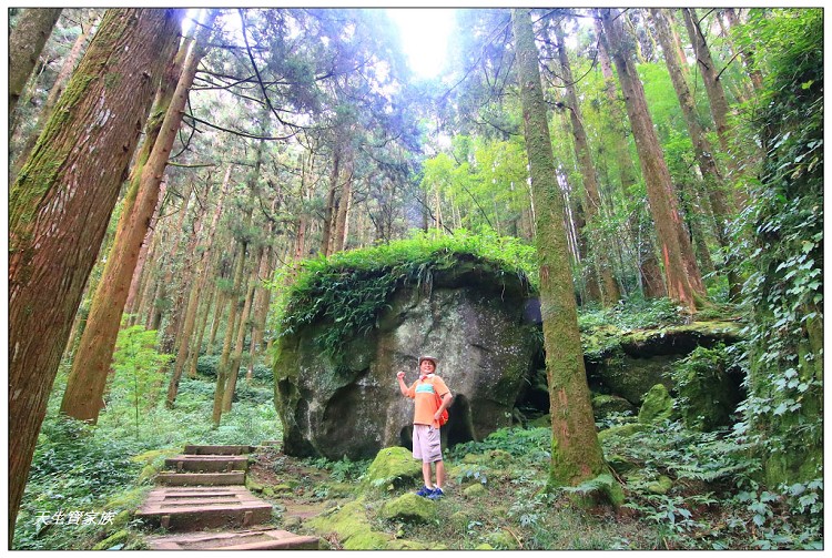 嘉義 大凍山,嘉義大凍山一日遊,嘉義大凍山停車場,嘉義大凍山天氣,嘉義大凍山步道,嘉義大凍山登山口,嘉義阿里山景點,多林停車場,多林檢查站,大冻山步道,大凍山 嘉義,大凍山三角點,大凍山停車場,大凍山健行筆記,大凍山台南,大凍山嘉義,大凍山地址,大凍山廁所,大凍山步道停車場,大凍山步道圖,大凍山步道地圖,大凍山步道路線圖,大凍山登山口,大凍山觀景平台,大凍山附近景點,大凍山頂湖步道,大棟山 嘉義,奮起湖大凍山步道,奮起湖大棟山登山步道,阿里山 大凍山,阿里山大凍山,阿里山景點,阿里山鄉樂野村頂湖,頂湖 大凍山休閒渡假中心,頂湖停車場,頂湖停車場大凍山,頂湖大凍山,頂湖大凍山步道,頂湖大凍山步道圖,頂湖步道,頂湖步道路線圖,頂湖茶園