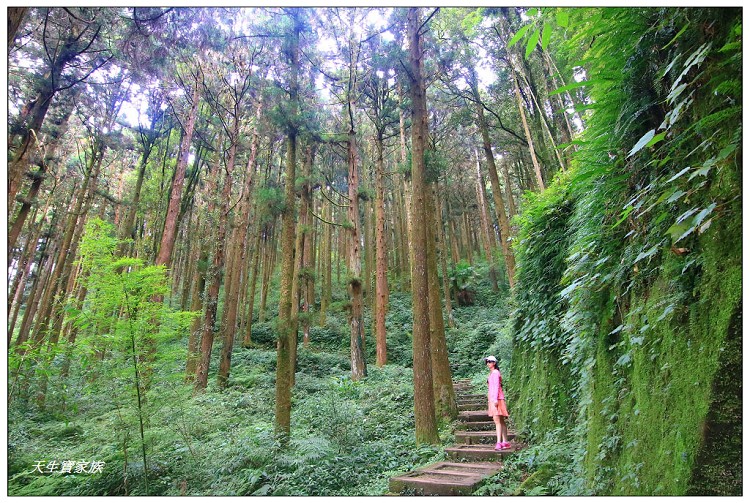 嘉義 大凍山,嘉義大凍山一日遊,嘉義大凍山停車場,嘉義大凍山天氣,嘉義大凍山步道,嘉義大凍山登山口,嘉義阿里山景點,多林停車場,多林檢查站,大冻山步道,大凍山 嘉義,大凍山三角點,大凍山停車場,大凍山健行筆記,大凍山台南,大凍山嘉義,大凍山地址,大凍山廁所,大凍山步道停車場,大凍山步道圖,大凍山步道地圖,大凍山步道路線圖,大凍山登山口,大凍山觀景平台,大凍山附近景點,大凍山頂湖步道,大棟山 嘉義,奮起湖大凍山步道,奮起湖大棟山登山步道,阿里山 大凍山,阿里山大凍山,阿里山景點,阿里山鄉樂野村頂湖,頂湖 大凍山休閒渡假中心,頂湖停車場,頂湖停車場大凍山,頂湖大凍山,頂湖大凍山步道,頂湖大凍山步道圖,頂湖步道,頂湖步道路線圖,頂湖茶園