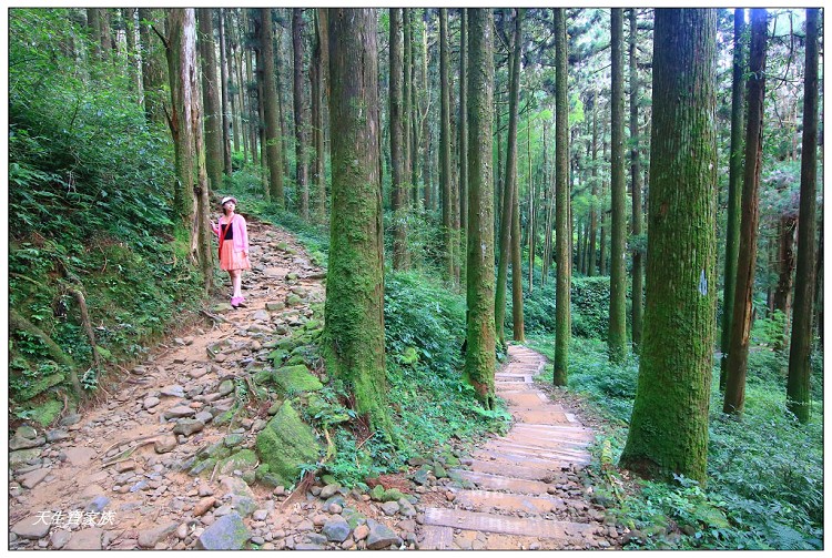 嘉義 大凍山,嘉義大凍山一日遊,嘉義大凍山停車場,嘉義大凍山天氣,嘉義大凍山步道,嘉義大凍山登山口,嘉義阿里山景點,多林停車場,多林檢查站,大冻山步道,大凍山 嘉義,大凍山三角點,大凍山停車場,大凍山健行筆記,大凍山台南,大凍山嘉義,大凍山地址,大凍山廁所,大凍山步道停車場,大凍山步道圖,大凍山步道地圖,大凍山步道路線圖,大凍山登山口,大凍山觀景平台,大凍山附近景點,大凍山頂湖步道,大棟山 嘉義,奮起湖大凍山步道,奮起湖大棟山登山步道,阿里山 大凍山,阿里山大凍山,阿里山景點,阿里山鄉樂野村頂湖,頂湖 大凍山休閒渡假中心,頂湖停車場,頂湖停車場大凍山,頂湖大凍山,頂湖大凍山步道,頂湖大凍山步道圖,頂湖步道,頂湖步道路線圖,頂湖茶園