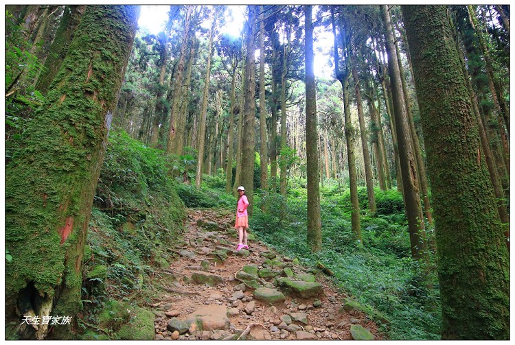 嘉義 大凍山,嘉義大凍山一日遊,嘉義大凍山停車場,嘉義大凍山天氣,嘉義大凍山步道,嘉義大凍山登山口,嘉義阿里山景點,多林停車場,多林檢查站,大冻山步道,大凍山 嘉義,大凍山三角點,大凍山停車場,大凍山健行筆記,大凍山台南,大凍山嘉義,大凍山地址,大凍山廁所,大凍山步道停車場,大凍山步道圖,大凍山步道地圖,大凍山步道路線圖,大凍山登山口,大凍山觀景平台,大凍山附近景點,大凍山頂湖步道,大棟山 嘉義,奮起湖大凍山步道,奮起湖大棟山登山步道,阿里山 大凍山,阿里山大凍山,阿里山景點,阿里山鄉樂野村頂湖,頂湖 大凍山休閒渡假中心,頂湖停車場,頂湖停車場大凍山,頂湖大凍山,頂湖大凍山步道,頂湖大凍山步道圖,頂湖步道,頂湖步道路線圖,頂湖茶園