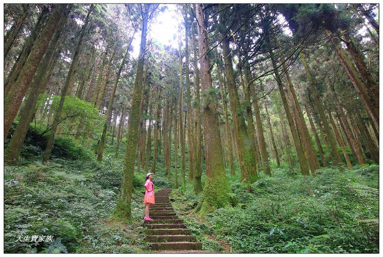 嘉義 大凍山,嘉義大凍山一日遊,嘉義大凍山停車場,嘉義大凍山天氣,嘉義大凍山步道,嘉義大凍山登山口,嘉義阿里山景點,多林停車場,多林檢查站,大冻山步道,大凍山 嘉義,大凍山三角點,大凍山停車場,大凍山健行筆記,大凍山台南,大凍山嘉義,大凍山地址,大凍山廁所,大凍山步道停車場,大凍山步道圖,大凍山步道地圖,大凍山步道路線圖,大凍山登山口,大凍山觀景平台,大凍山附近景點,大凍山頂湖步道,大棟山 嘉義,奮起湖大凍山步道,奮起湖大棟山登山步道,阿里山 大凍山,阿里山大凍山,阿里山景點,阿里山鄉樂野村頂湖,頂湖 大凍山休閒渡假中心,頂湖停車場,頂湖停車場大凍山,頂湖大凍山,頂湖大凍山步道,頂湖大凍山步道圖,頂湖步道,頂湖步道路線圖,頂湖茶園