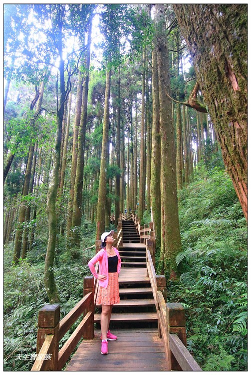 嘉義 大凍山,嘉義大凍山一日遊,嘉義大凍山停車場,嘉義大凍山天氣,嘉義大凍山步道,嘉義大凍山登山口,嘉義阿里山景點,多林停車場,多林檢查站,大冻山步道,大凍山 嘉義,大凍山三角點,大凍山停車場,大凍山健行筆記,大凍山台南,大凍山嘉義,大凍山地址,大凍山廁所,大凍山步道停車場,大凍山步道圖,大凍山步道地圖,大凍山步道路線圖,大凍山登山口,大凍山觀景平台,大凍山附近景點,大凍山頂湖步道,大棟山 嘉義,奮起湖大凍山步道,奮起湖大棟山登山步道,阿里山 大凍山,阿里山大凍山,阿里山景點,阿里山鄉樂野村頂湖,頂湖 大凍山休閒渡假中心,頂湖停車場,頂湖停車場大凍山,頂湖大凍山,頂湖大凍山步道,頂湖大凍山步道圖,頂湖步道,頂湖步道路線圖,頂湖茶園