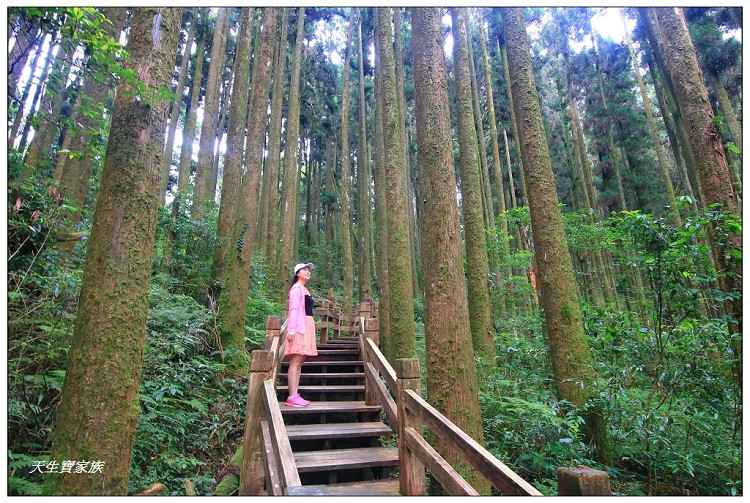 嘉義 大凍山,嘉義大凍山一日遊,嘉義大凍山停車場,嘉義大凍山天氣,嘉義大凍山步道,嘉義大凍山登山口,嘉義阿里山景點,多林停車場,多林檢查站,大冻山步道,大凍山 嘉義,大凍山三角點,大凍山停車場,大凍山健行筆記,大凍山台南,大凍山嘉義,大凍山地址,大凍山廁所,大凍山步道停車場,大凍山步道圖,大凍山步道地圖,大凍山步道路線圖,大凍山登山口,大凍山觀景平台,大凍山附近景點,大凍山頂湖步道,大棟山 嘉義,奮起湖大凍山步道,奮起湖大棟山登山步道,阿里山 大凍山,阿里山大凍山,阿里山景點,阿里山鄉樂野村頂湖,頂湖 大凍山休閒渡假中心,頂湖停車場,頂湖停車場大凍山,頂湖大凍山,頂湖大凍山步道,頂湖大凍山步道圖,頂湖步道,頂湖步道路線圖,頂湖茶園