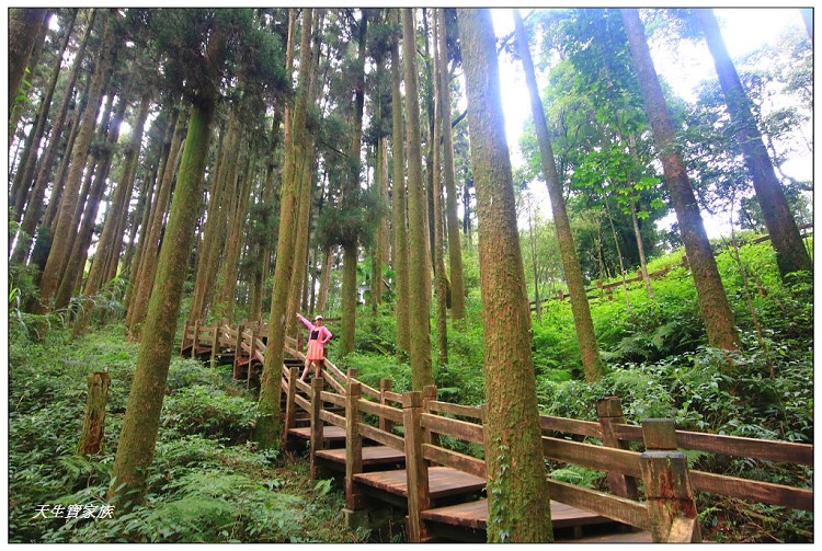 嘉義 大凍山,嘉義大凍山一日遊,嘉義大凍山停車場,嘉義大凍山天氣,嘉義大凍山步道,嘉義大凍山登山口,嘉義阿里山景點,多林停車場,多林檢查站,大冻山步道,大凍山 嘉義,大凍山三角點,大凍山停車場,大凍山健行筆記,大凍山台南,大凍山嘉義,大凍山地址,大凍山廁所,大凍山步道停車場,大凍山步道圖,大凍山步道地圖,大凍山步道路線圖,大凍山登山口,大凍山觀景平台,大凍山附近景點,大凍山頂湖步道,大棟山 嘉義,奮起湖大凍山步道,奮起湖大棟山登山步道,阿里山 大凍山,阿里山大凍山,阿里山景點,阿里山鄉樂野村頂湖,頂湖 大凍山休閒渡假中心,頂湖停車場,頂湖停車場大凍山,頂湖大凍山,頂湖大凍山步道,頂湖大凍山步道圖,頂湖步道,頂湖步道路線圖,頂湖茶園