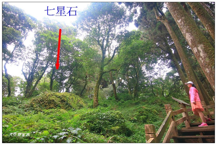 嘉義 大凍山,嘉義大凍山一日遊,嘉義大凍山停車場,嘉義大凍山天氣,嘉義大凍山步道,嘉義大凍山登山口,嘉義阿里山景點,多林停車場,多林檢查站,大冻山步道,大凍山 嘉義,大凍山三角點,大凍山停車場,大凍山健行筆記,大凍山台南,大凍山嘉義,大凍山地址,大凍山廁所,大凍山步道停車場,大凍山步道圖,大凍山步道地圖,大凍山步道路線圖,大凍山登山口,大凍山觀景平台,大凍山附近景點,大凍山頂湖步道,大棟山 嘉義,奮起湖大凍山步道,奮起湖大棟山登山步道,阿里山 大凍山,阿里山大凍山,阿里山景點,阿里山鄉樂野村頂湖,頂湖 大凍山休閒渡假中心,頂湖停車場,頂湖停車場大凍山,頂湖大凍山,頂湖大凍山步道,頂湖大凍山步道圖,頂湖步道,頂湖步道路線圖,頂湖茶園